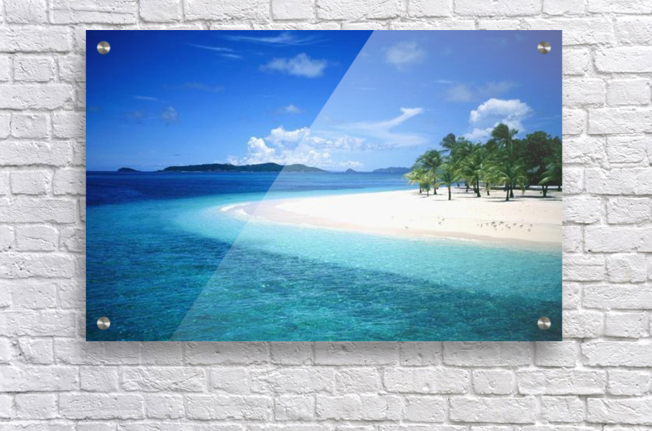 Palm Trees On A Small Island Pacificstock Canvas