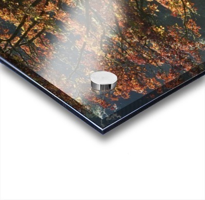 Fall Colors In Muckross Gardens In Killarney National Park