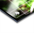 Fragile et résistante Acrylic print