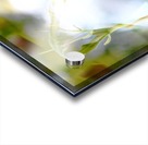 Tige printanière Acrylic print