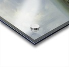 A swamp Acrylic print