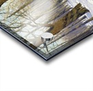 A breath of spring Acrylic print