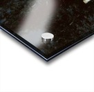 Skit on a moonlit night Acrylic print