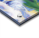 Castle Mountain Beauty Acrylic print