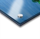 Country School Acrylic print