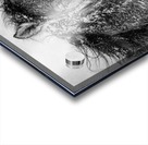 Ice Princess Acrylic print