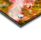 Sparrow In The Apple Tree Acrylic print