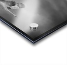 Sandhill Crane Trio In Flight Acrylic print