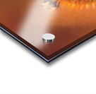 Bumblebee On Pink Coneflower Acrylic print