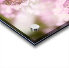 American Painted Lady Butterfly Among Wildflowers Acrylic print