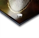 Ruffed Up Acrylic print