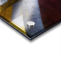 Freedom Acrylic print