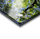 Puissance Acrylic print