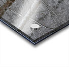 Snow in the South Acrylic print