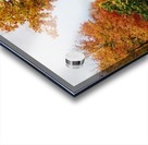 Fall at Furman Acrylic print