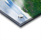 Nature's Nest Acrylic print