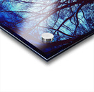 Snowy Delight Acrylic print