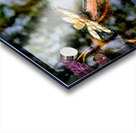 Koi Pond Delight Acrylic print