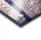 Fort Frederick At Rmc Acrylic print