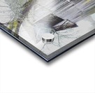 Barnyard  Acrylic print