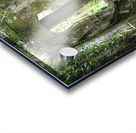 Wander Acrylic print