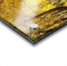 Autumn Season Acrylic print