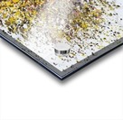 Spring Acrylic print