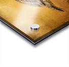 Female Ruffed Grouse Acrylic print