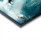 Russell Bierke at Shipstern Acrylic print