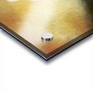 Impressions Acrylic print