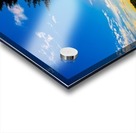 TREE AT SUNSET Acrylic print