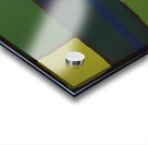 fullsizeoutput_135 Acrylic print