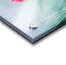 Lost in Paradise ... Acrylic print