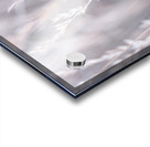 Summer breeze... Acrylic print