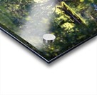 Summer in Glen Sutton Acrylic print