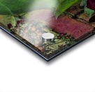 His mother prays Acrylic print