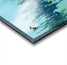 IMG_0005 Acrylic print