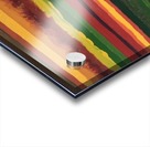 IMG_0524 Acrylic print