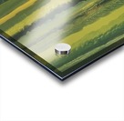 IMG_0511 Acrylic print