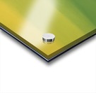 IMG_0517 Acrylic print