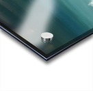 IMG_0529 Acrylic print