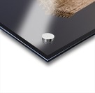 Home Castle Acrylic print