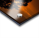 St. Georges Tree Acrylic print