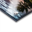 Morning Field Acrylic print