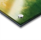 IMG_0031 Acrylic print