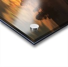 Northern Lights in Yellowstone Acrylic print