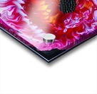 Flower. Stephen R Acrylic print