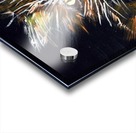 Whiskers. Stephen R Acrylic print