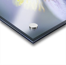 Mayleen Acrylic print