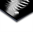 Untitled Acrylic print